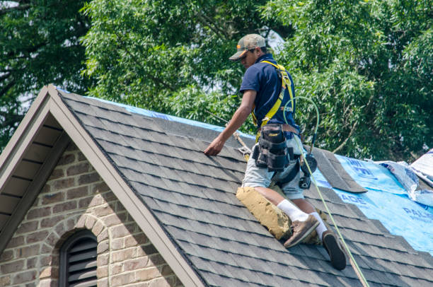 Best Flat Roof Repair Services  in Roxboro, NC